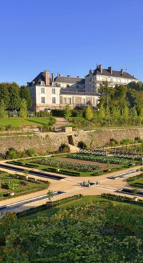 Le potager Colbert : de la terre à l’assiette