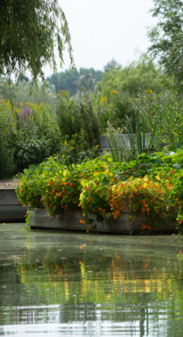 Le potager embarqué, Hortillonnages d'Amiens.