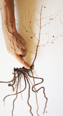 Garden_Lab#09 - Etre Botaniste