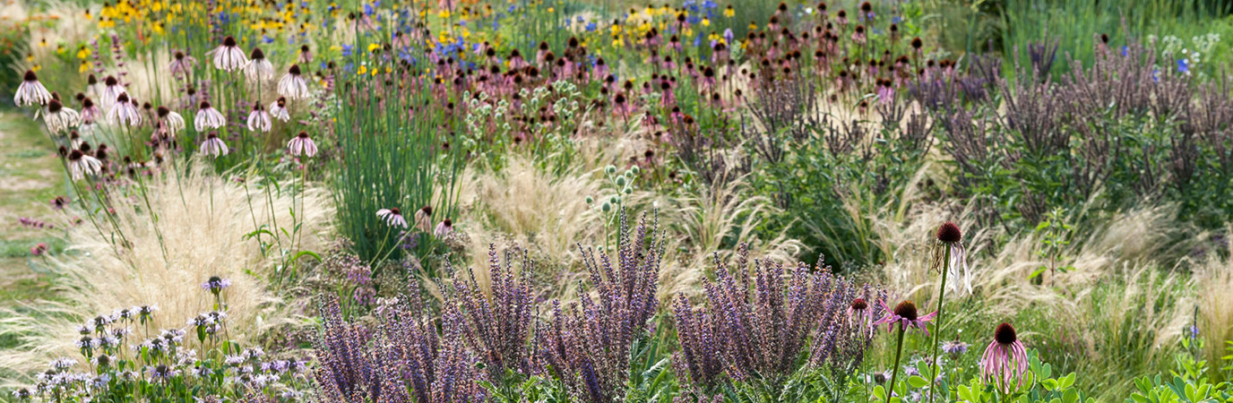 La paysagiste Cassian Schmidt, expert ès vivaces. Garden_Lab 10, Jardins & Sécheresse.