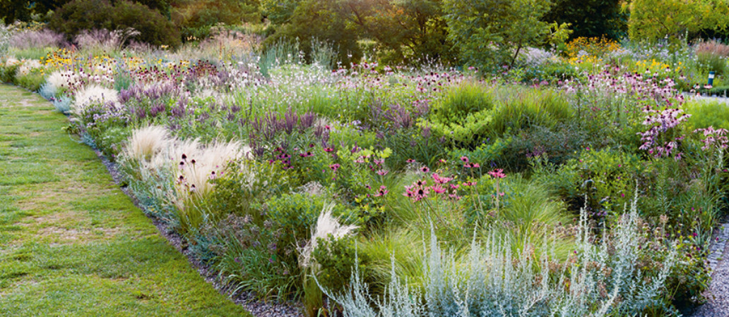 Jardin de Hermannshof, en Allemagne. Garden_Lab 10, Jardins & Sécheresse.