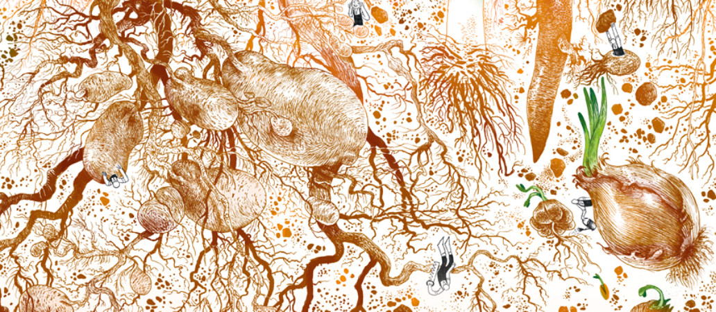 Le jardinage des racines, par Véronique Mure. Garden_Lab 10, Jardins & sécheresse.