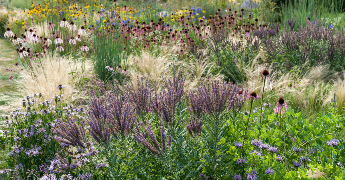 La paysagiste Cassian Schmidt, expert ès vivaces. Garden_Lab 10, Jardins & Sécheresse.