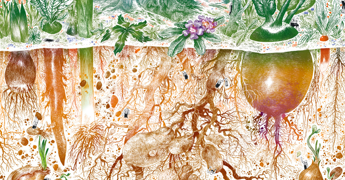 Le jardinage des racines, par Véronique Mure. Garden_Lab 10, Jardins & sécheresse.