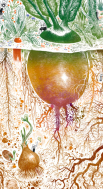 Le jardinage des racines, par Véronique Mure. Garden_Lab 10, Jardins & sécheresse.