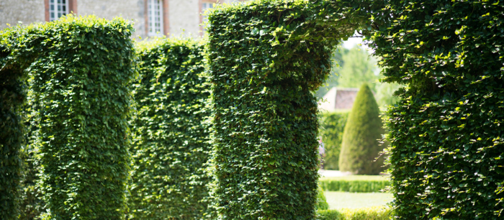 Chateau-de-Vascœuil_-Garden_Lab01_5